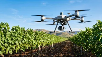 Nashik Grape Farms Leverage Computer Vision Drones For Sustainable Mildew Control