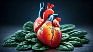 Nighttime Habits: The Science of a Healthy Heart