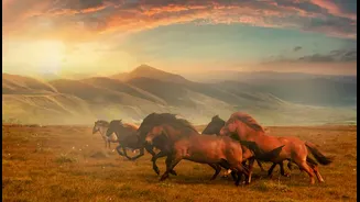 Not so cool travel destinations that are made famous by social media