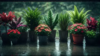 Rain-Proof Your Balcony With These Smart Plant Choices
