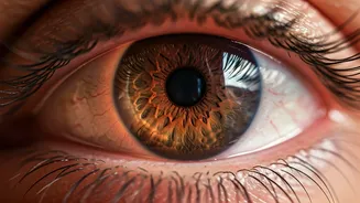 Diabetes and Your Eyes: Unmasking Risks, Spotting Signs, and Safeguarding Sight