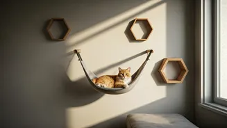 Viral Structural Layout Hacks Provide Secure Mounted Hammocks For Cats