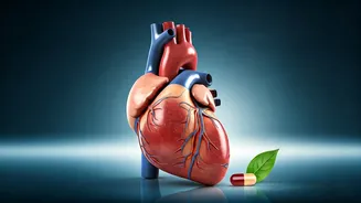 Beyond Lifestyle: Why Blood Pressure Medication is Crucial, According to a Heart Surgeon