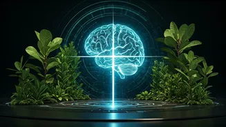 Health Tech Lifestyle Careers: The Ultimate Gen Z Guide