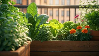 Urban Gardening Makes Life Greener