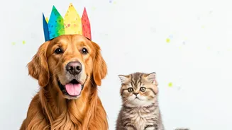 Holi 2026: Essential Safety Guide for Children, Seniors, and Pets