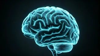 Feeling Energized? Exploring Sleep Mysteries