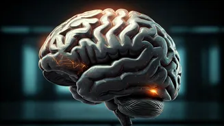 These Jobs Need Creativity, Empathy And Decision-Making