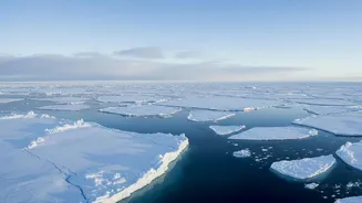 The New Arctic Cloud-Particle Study Adds A New Piece To Sea Ice Effects On Cloud Formation