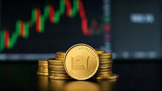 Lenskart IPO: Should You Invest?