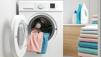 Laundry Day Hacks: Effortless Tips to Save Time & Money on Clean Clothes