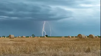 AI-Powered Weather Advisories Reach 5.28 Crore Farmers in India
