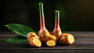 Meet Galangal, The Citrus-Peppery Ginger Cousin