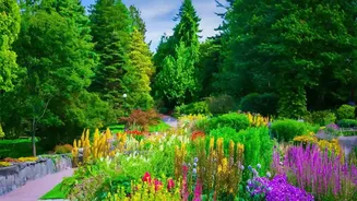 Native Plants Are Creating Beautiful Gardens With Minimal Care