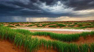 Thar Desert Is Monsoon’s Wildest Travel Twist