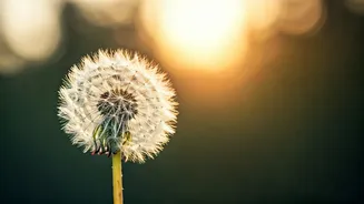 Sunaina Roshan's Brave Stand Against Body Shaming: Redefining Self-Worth Beyond Appearance