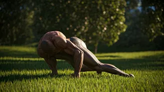 Young Fitness Buffs Move Workouts Outdoor For Animal Flow