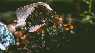 How to make gardening tools at home