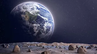 Five Microbes Were Tested Against Extreme Lunar Conditions