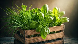 How To Turn Five Hundred Rupees Into Abundance Of Greens