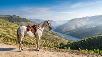 Explore Portugal via horseback tours
