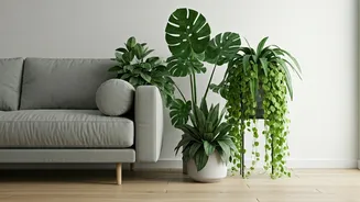 Plants Add Softness To Tight Spaces Fast