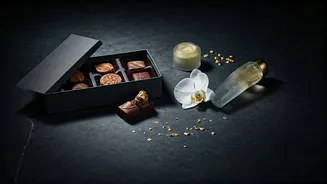 January's Top Picks: Editor Favorites and Must-Have Product Launches