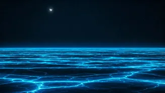 Bioluminescence Turns Andaman Nights Into Pure Cinema