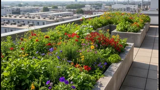 How Terrace Gardens Reduce Heat Around Concrete Roofs