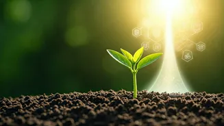 Unlock Your Future: Why Career Planning After Class 10 is Crucial for Success