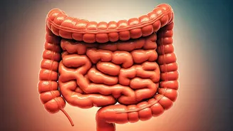 Unveiling Fiber's Role: Beyond Constipation