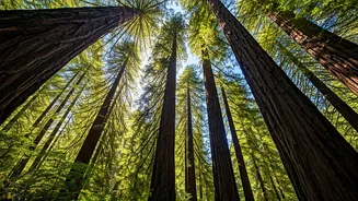 California's National Parks: A Traveler's Guide