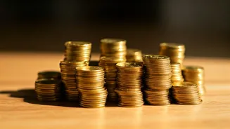 Taurus Daily: Navigating Finances, Relationships, and Career