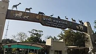 Indore Zoo Set To Launch High-Tech 14D Theatre Likely In May; Residents Can Enjoy Immersive Jungle Experience With Motion-Enabled Seats & Special E...