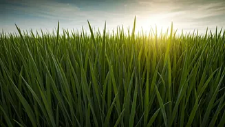 9 Simple Steps for Happiness and Stress-Free Living