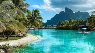 What Changed In Purpose-Free Travel
