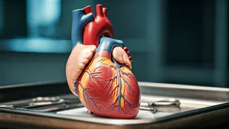 Unveiling Heart Risks: The Push-Up Test and More
