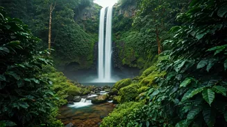 Misty Coorg Coffee Plantation Waterfalls Offer Breathtaking Rainy Season Escapes
