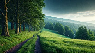 Nature Trails And Rainy Landscapes Await
