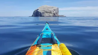Ocean kayaking: Top spots, tips, and more
