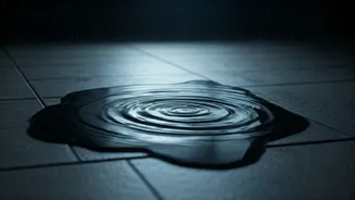 Standing Water At Home? Clear It Before It's Late