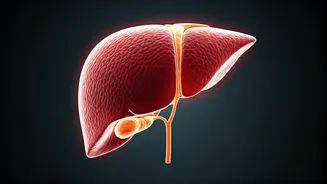 Hidden Liver Threats: Unveiling Warning Signs Beyond Alcohol