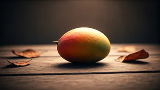 India’s Mango Obsession Ends On Sweet Note