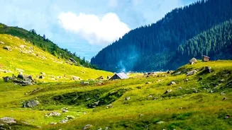 Discover Clean Alpine Streams And Pine Forests In Offbeat Shoja Himachal