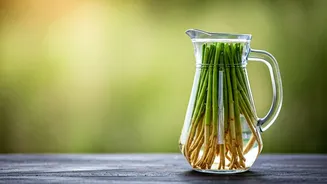 Cool Your Body Naturally With Traditional Vetiver Root Water