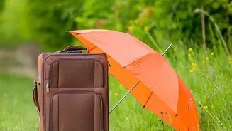 Monsoon Travel Planning: Your Seven-Point Insurance Check