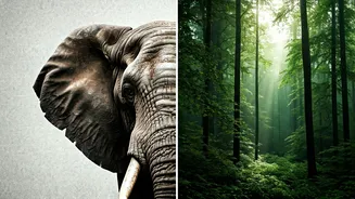 Related Stories banner