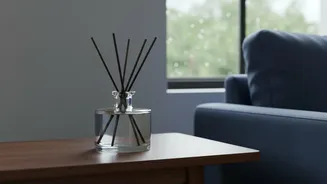 Rainy Season Odour Problems: Simple Ways To Address Dampness At Home