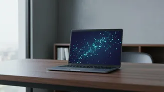 How Programmers Study Complex Open-Source Repositories Safely Using Local AI Tools