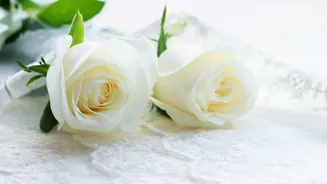 Celebration Flowers Need Scent, Comfort and Longevity Checks